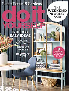 Do-It-Yourself Magazine