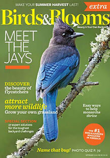 Birds & Blooms Magazine