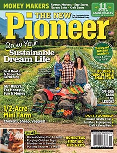 The New Pioneer Magazine